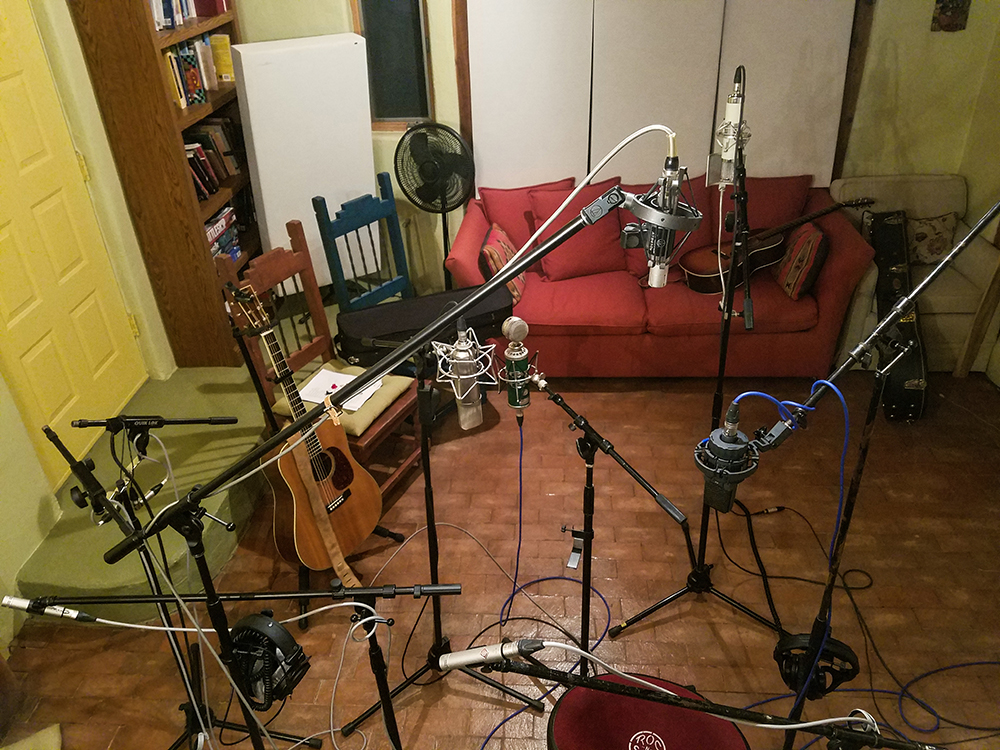 A slew of Taos Recording Microphones